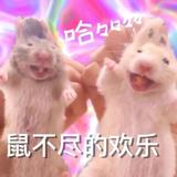 解压侠头像