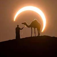 非凡明镜WN头像