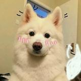 晨晨超勇的头像