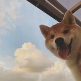 用户6950037248009头像