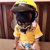 丶宋老师丶头像