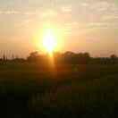 晞洋洋的个人资料头像