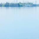 lzfc的个人资料头像