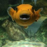 風锤锤的个人资料头像