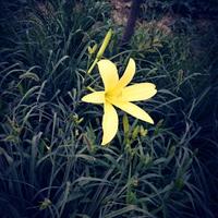 用户1711619252667头像