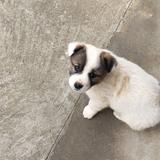 昨日何其多763头像