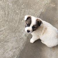 昨日何其多763头像