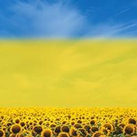 用户741081284596头像