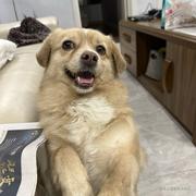 蛋黄哌的个人资料头像