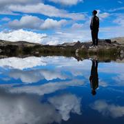 ivtao2的个人资料头像