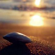 小飞495的个人资料头像