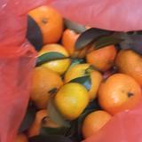 活泼面条qUE头像