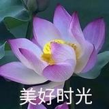 用户8674990957228头像