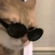 无限进步662的个人资料头像