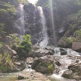 缤纷溪水SA头像