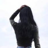 俩盆仙人掌头像