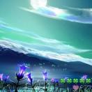 夏央晨兮珠yu滴的个人资料头像