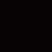 Blitz的个人资料头像