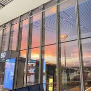 sasaaas的个人资料头像