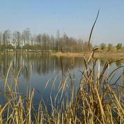 朱优明的个人资料头像