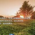 均好6666头像