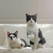 liusm的个人资料头像