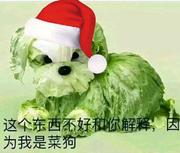 钱途狠丶低调的个人资料头像