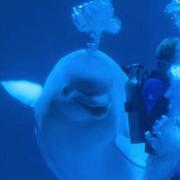 用户3555581933005的个人资料头像