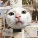 眯的个人资料头像