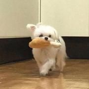 天地之间有坨秤的个人资料头像