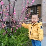 豪豪麻麻头像