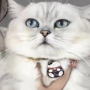 zwm863的个人资料头像