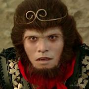 mttuo的个人资料头像