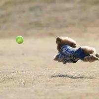 小飞50196966头像