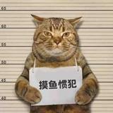 铁板捞粉头像