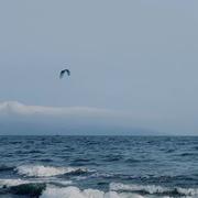 Jayden542的个人资料头像