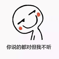 北辰DAIXIAOAI1314头像