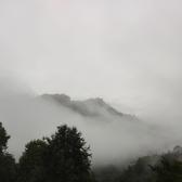 arent铜板头像