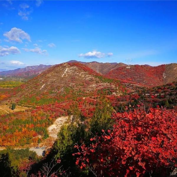 小鱼成长记录头像