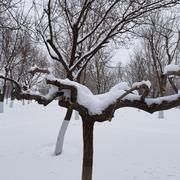 Alongside的个人资料头像