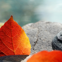 动感潮人pc1头像