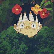 数字花园的呓语的个人资料头像