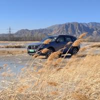 桃花岛铁太妃头像