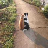 起个已用过的用户名头像