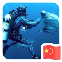 斯皮尔波哥飙车头像