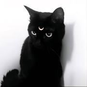 zyg905的个人资料头像