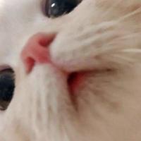 AI智能科技圈头像