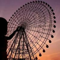 风吹雨成花805头像