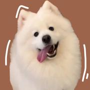 Jvshi的个人资料头像