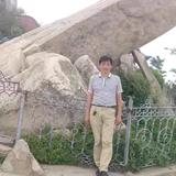 智者合山2D0头像